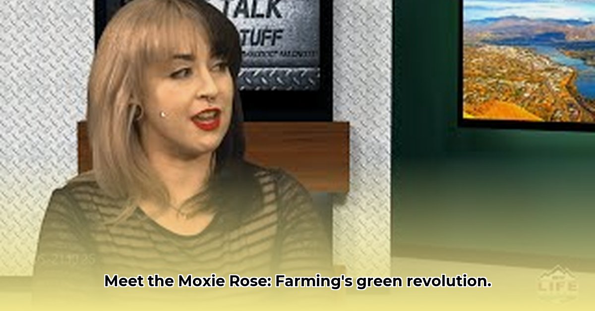 moxie-rose-tractor